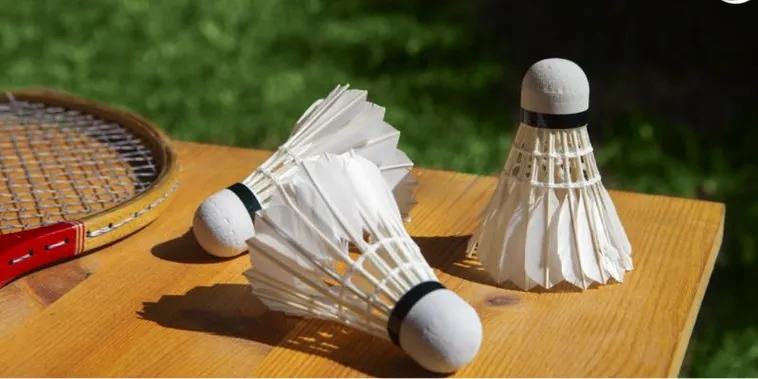 Bắt Kèo Cầu Lông 8Day Chuẩn Xác Biến Đam Mê Thành Lợi Nhuận Lớn 2 Bắt Kèo Cầu Lông 8Day Chuẩn Xác Biến Đam Mê Thành Lợi Nhuận Lớn