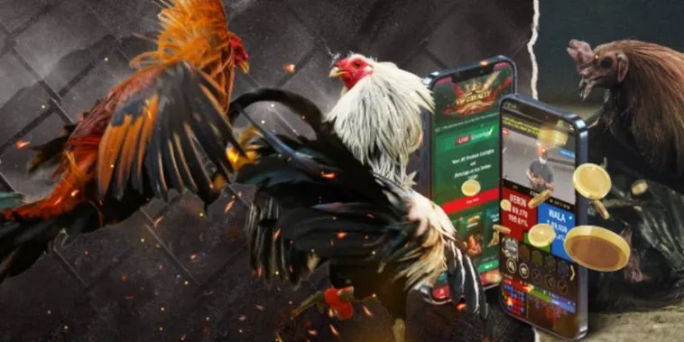 Chinh Phục Đá Gà GA28 Tại 8Day Với Hướng Dẫn Toàn Tập Cho Bạn