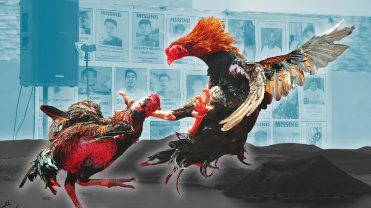 Bí Quyết Chơi Đá Gà Sabong 8Day Từ Cao Thủ Giúp Bạn Thắng Lớn 2 Bí Quyết Chơi Đá Gà Sabong 8Day Từ Cao Thủ Giúp Bạn Thắng Lớn