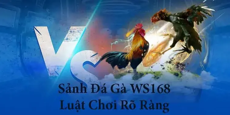 Làm Chủ Cách Chơi Đá Gà WS168 8Day Để Trở Thành Kê Thủ Bất Bại