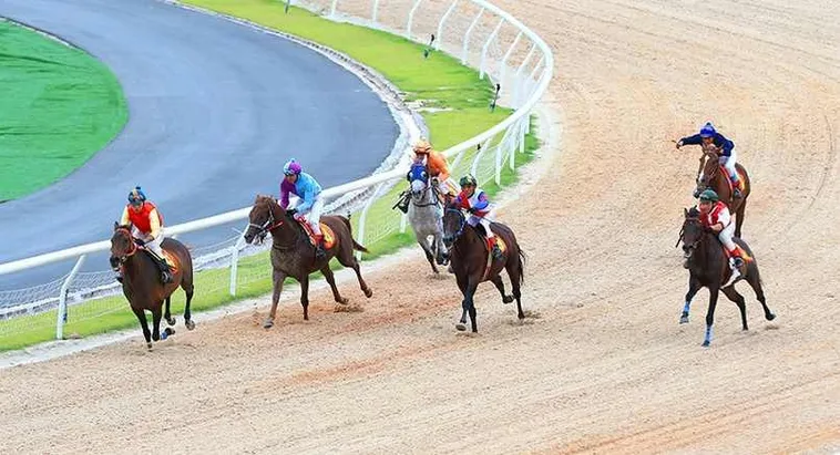 Bùng Nổ Cảm Xúc Với Cá Cược Đua Ngựa 8Day Đặt Cược Và Về Đích